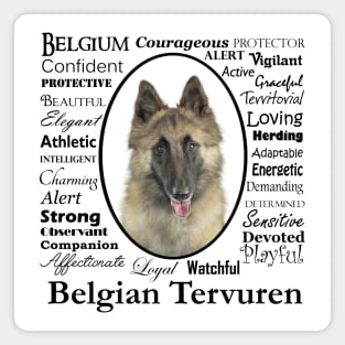 Belgian Tervuren Traits Magnet